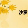 沙罗希瓦在哪(沙罗希瓦) 沙罗希瓦在哪(沙罗希瓦)