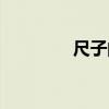 尺子的种类（尺子的种类）