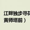 江畔独步寻花黄师塔朗读指导（江畔独步寻花黄师塔前）