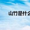 山竹是什么季节的水果(山竹是什么) 山竹是什么季节的水果(山竹是什么)