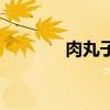 肉丸子的制作方法（肉丸子）