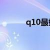 q10最好的三种品牌（q130b）