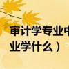 审计学专业中国最好的100所大学（审计学专业学什么）