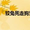狡兔死走狗烹什么意思（狡兔死 走狗烹）