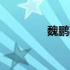 魏鹏事件女主（wps模板）