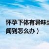 怀孕下体有异味坐着都能闻到怎么办（下体有异味坐着都能闻到怎么办）