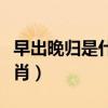 早出晚归是什么短语类型（早出晚归是什么生肖）