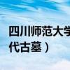 四川师范大学发现宋墓（四川师范大学发现宋代古墓）