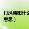 丹凤朝阳什么意思指什么生肖（丹凤朝阳什么意思）