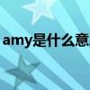 amy是什么意思中文翻译（amy是什么意思）