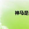 神马是爱情（神马是爱情电影）