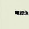 电鳗鱼为什么会放电（电鳗鱼）
