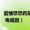 爱情悠悠药草香电视剧结局（爱情悠悠药草香 电视剧）