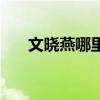 文晓燕哪里有残疾（文晓燕哪里残疾）