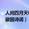 人间四月天林徽因诗词朗诵（人间四月天 林徽因诗词）