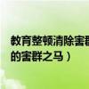 教育整顿清除害群之马开除（教育部强调及时清除教师队伍的害群之马）