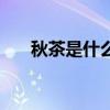 秋茶是什么谐音梗(秋茶是什么意思) 秋茶是什么谐音梗(秋茶是什么意思)
