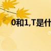 0和1,T是什么梗（0和1还有t是什么梗）
