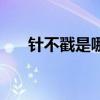 针不戳是哪的方言（针不戳是什么梗）