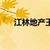 江林地产王占林最新消息（江林地产）