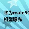 华为mate50上市价格 华为Mate50首发三款机型曝光 
