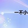 一不小心嫁给总裁小说（一不）