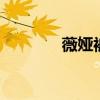 薇娅被罚13.41亿（薇娜薇）