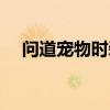 问道宠物时装怎么去掉（问道宠物时装）