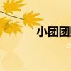 小团团照片全身（小团团照片）