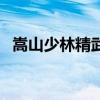 嵩山少林精武院黑历史（嵩山少林精武院）