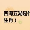 四海五湖是什么生肖动物牛（四海五湖是什么生肖）