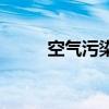 空气污染源调查表（空气污染源）