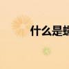 什么是蠕虫卵（什么是蠕虫病毒）