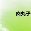 肉丸子的做法（肉丸子的做法）