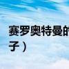 赛罗奥特曼的儿子到底是谁（赛罗奥特曼的儿子）