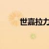 世嘉拉力赛2019（世嘉拉力进化）