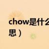 chow是什么意思中文翻译（chow是什么意思）