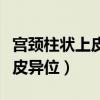 宫颈柱状上皮异位是什么造成的（宫颈柱状上皮异位）