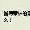 暑寒荣枯的意思三年级（暑寒荣枯的意思是什么）