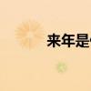 来年是什么（来年是什么意思）