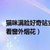 猫咪满脸好奇站立家中看窗外烟花（猫咪满脸好奇站立家中看窗外烟花）