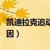 凯迪拉克追动车的是谁（凯迪拉克追动车的原因）