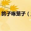 鸽子啄笼子（主人刷视频被鸽子群围啄屏幕）
