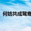 何妨共成鸳鸯锦全本txt（何妨共成鸳鸯锦）