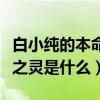 白小纯的本命之灵是什么级别(白小纯的本命之灵是什么) 白小纯的本命之灵是什么级别(白小纯的本命之灵是什么)