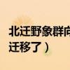 北迁野象群向西南迁移了（北迁野象群向西南迁移了）