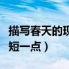 描写春天的现代诗简便（描写春天的现代诗简短一点）