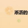 淅沥的拼音拼读（淅沥的拼音）