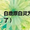 白鹿原白灵为什么会死（白鹿原白灵为什么换了）