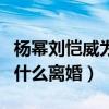 杨幂刘恺威为什么离的婚知乎（杨幂刘恺威为什么离婚）